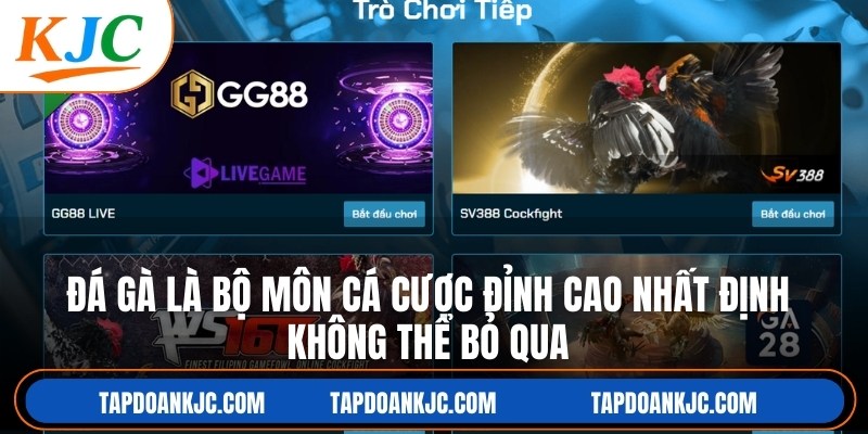 Đá gà là bộ môn cá cược đỉnh cao nhất định không thể bỏ qua